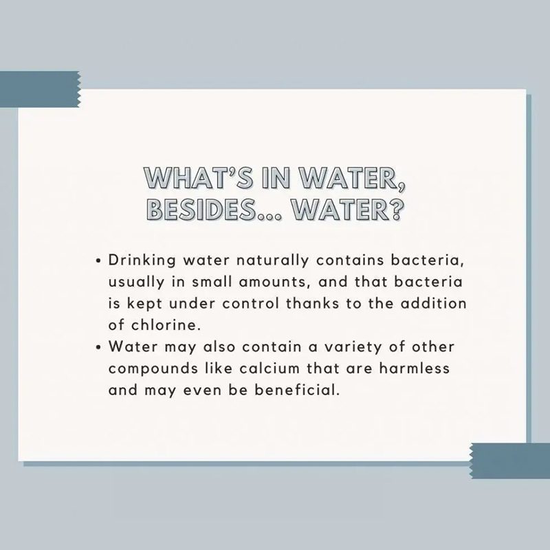 Description of what's in water besides
