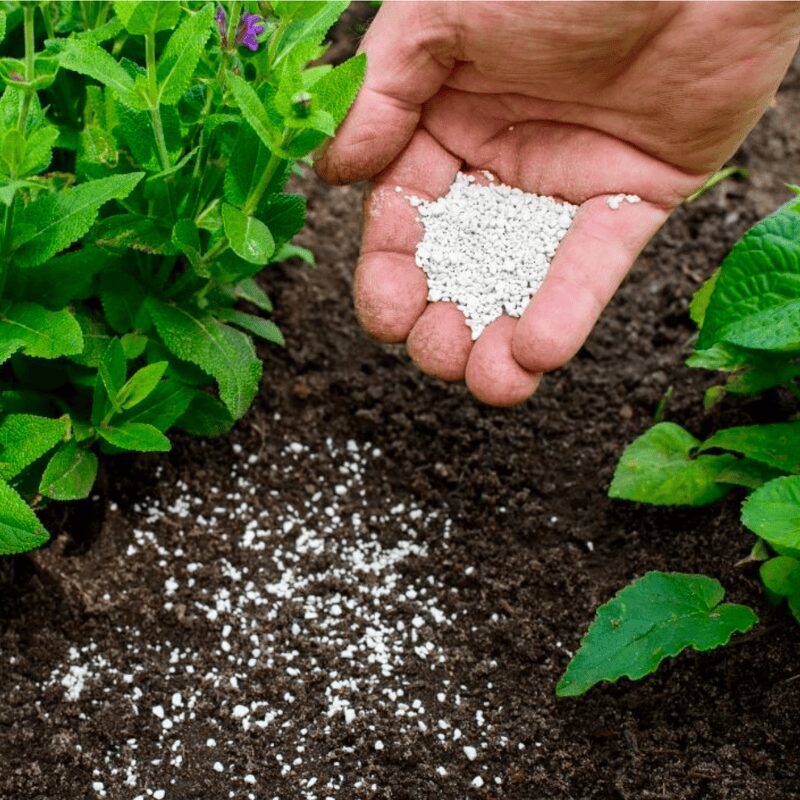 soil and crop fertilizer